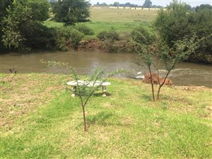 1279 m² Land available in Rothdene