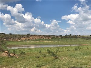 374 ha Farm in Magaliesburg