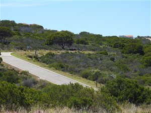 2036 m² Land available in Aalwyndal