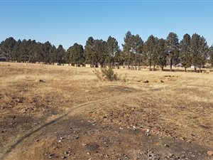 4 ha Farm in Althea