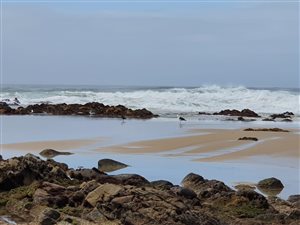 1054 m² Land available in Cannon Rocks