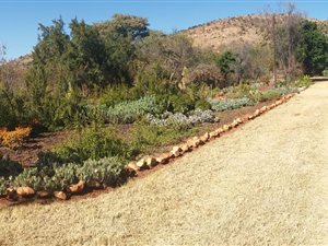 9 ha Farm in Amandasig