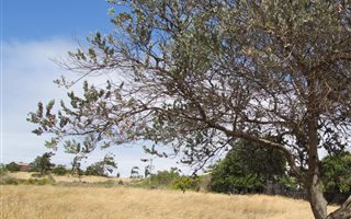 1912 m² Land available in Darling