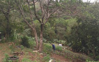 9892 m² Land available in Westmead