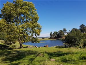 2714 m² Land available in Nottingham Road