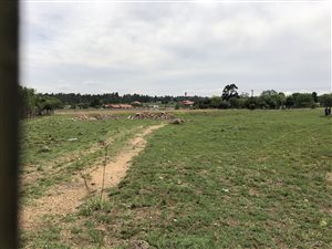 1.3 ha Land available in Austin View