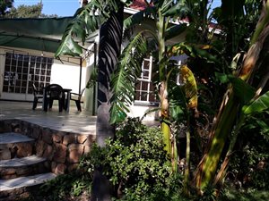 2 Bed House in Silverton