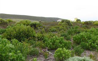 600 m² Land available in Struisbaai