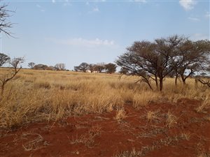 342 ha Farm in Roedtan