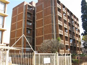 1 Bed Apartment in Arcadia