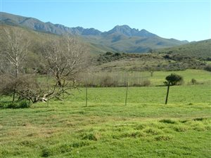 129 ha Farm in Uniondale