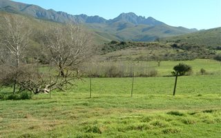 129 ha Farm in Uniondale