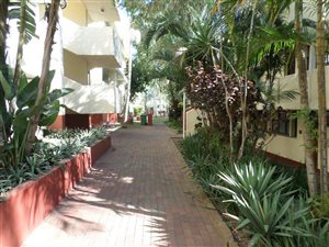 3 Bed Duplex in Paradise Valley
