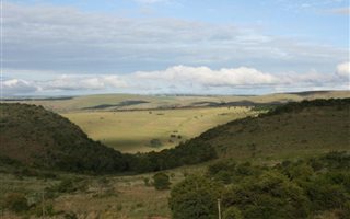 184 ha Farm in Middelburg Central