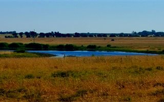 934 ha Farm in Kroonstad