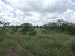 9.6 ha Land available in Wonderboom