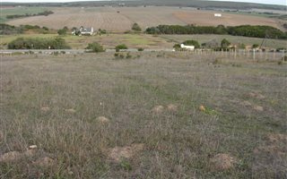980 m² Land available in Baardskeerdersbos