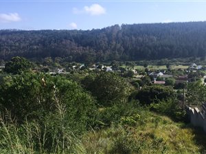 877 m² Land available in Meedingsride