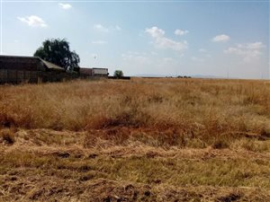 1100 m² Land available in Riversdale