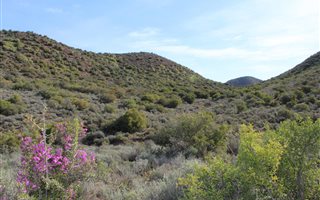 1032 ha Farm in Ladismith