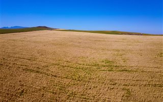 908 ha Farm in Swellendam