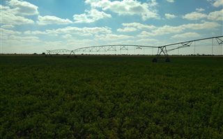 510 ha Farm in Schweizer Reyneke