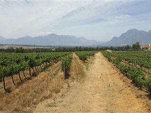 1.1 ha Land available in Paarl