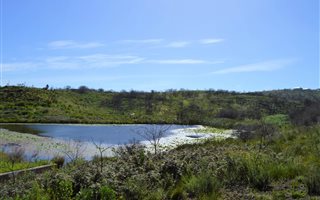 1.3 ha Land available in Pezula Golf Estate