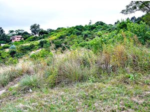 9465 m² Land available in Wyebank