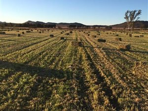 440 ha Farm in Queenstown