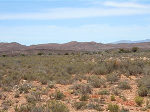 497 ha Farm in Ladismith