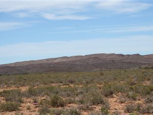 497 ha Farm in Ladismith
