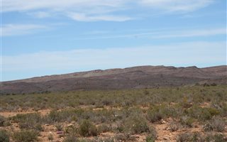 497 ha Farm in Ladismith