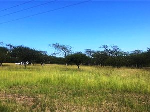 2547 m² Land available in Albert Falls