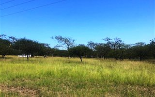 2547 m² Land available in Albert Falls