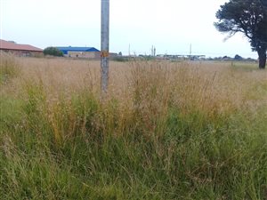 907 m² Land available in Jameson Park