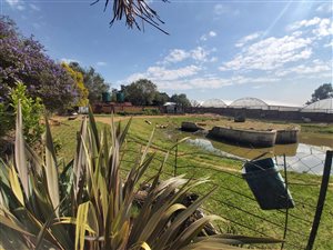 16.9 ha Farm in Fairleads