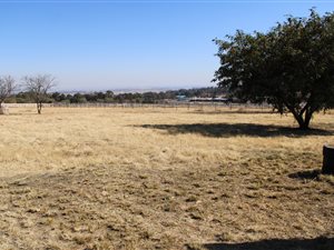 10000 ha Farm in Bridle Park AH