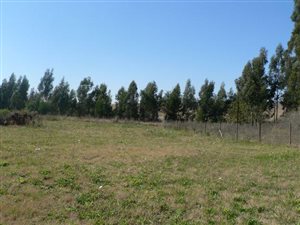 4221 m² Land available in Nottingham Road