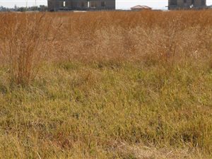 7890 m² Land available in Riversdale