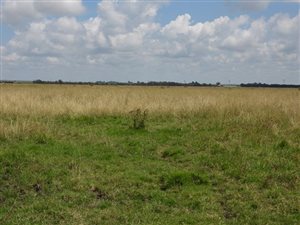 468 ha Farm in Kroonstad