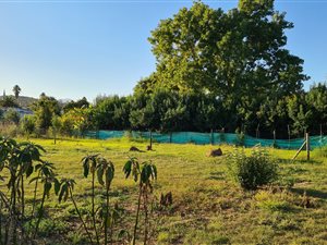 1300 m² Land available in Heidelberg