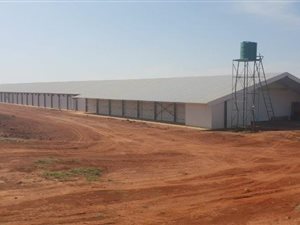 50 ha Farm in Zeerust
