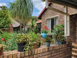 3 Bed House in Wierda Park