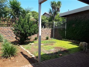 1 Bed Apartment in Wingate Park