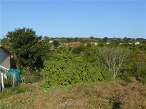 1240 m² Land available in Port Alfred