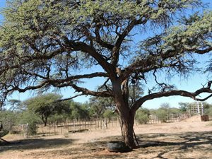 771.3 ha Farm in Zeerust