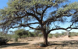 771.3 ha Farm in Zeerust