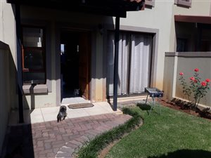 2 Bed Apartment in Heidelberg Central