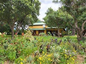 36 ha Farm in Lephalale (Ellisras)